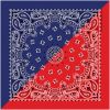 New Carolina Creative Products Split Paisley Navy & Red Bandana