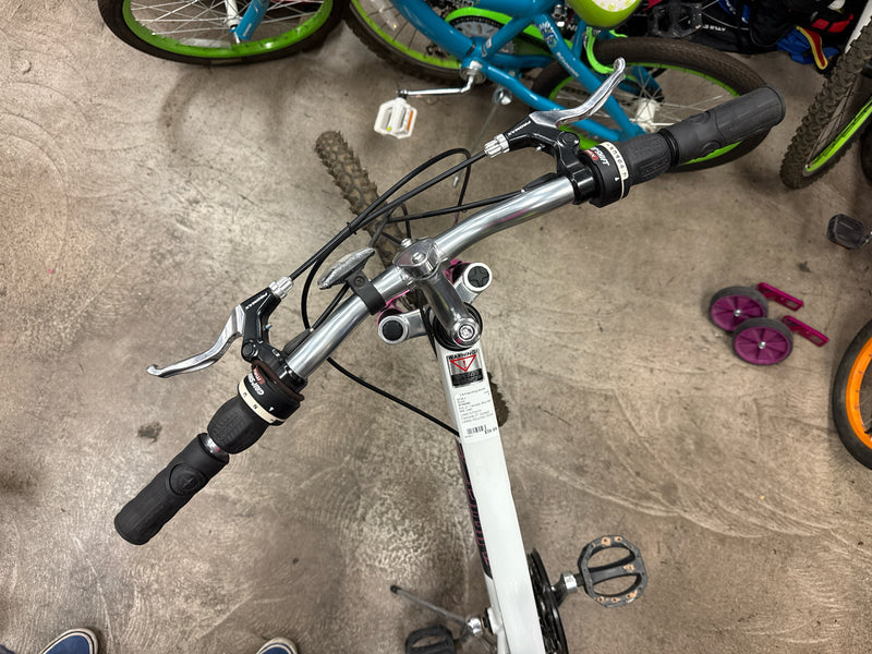 Load image into Gallery viewer, Used Schwinn Cascade 21 Speed Ladies Mountain Bike
