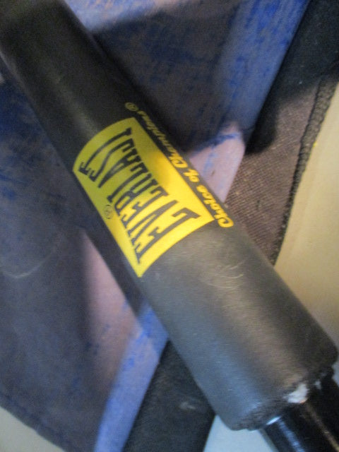 Used Everlast Doorway Pull Up Bar With Brackets