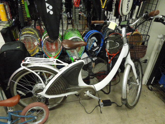 Load image into Gallery viewer, Used Phantom Swirl Electric Bicyle Battery Only Holds 50% Charge
