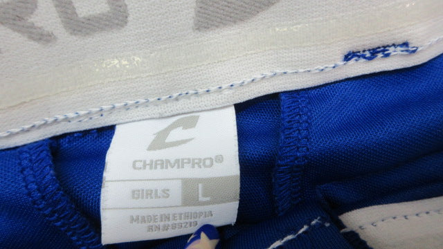 Load image into Gallery viewer, Used Champro Softball Pants - Size Youth Large
