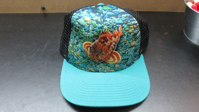 Load image into Gallery viewer, Used Hat
