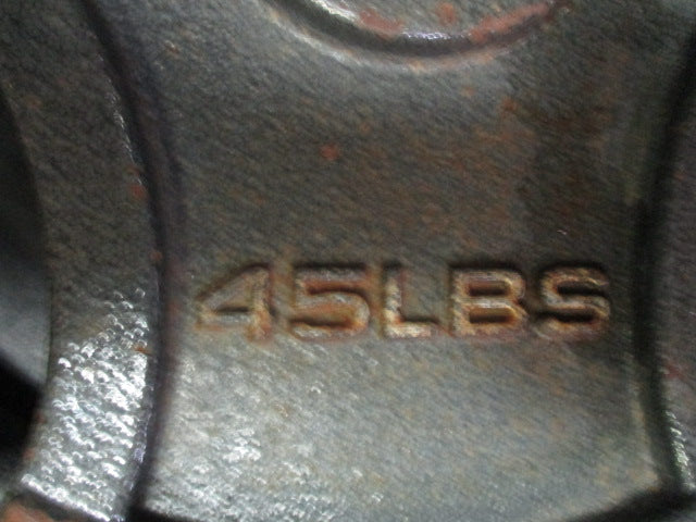 Load image into Gallery viewer, Used Fitness Gear Cast Iron 45LB Weight Plate
