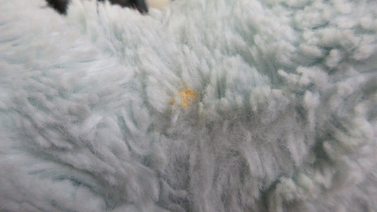 Used North Face Fuzzy Reversible Jacket