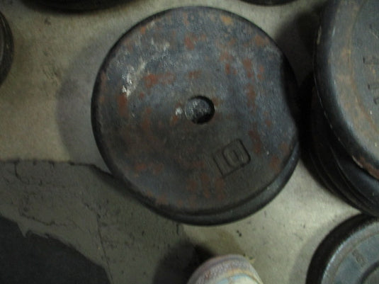 Used 10LB Cast Iron Weight Plate