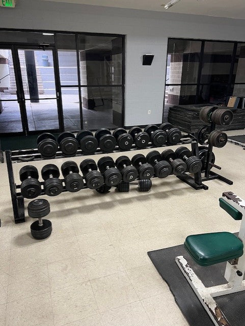 Load image into Gallery viewer, Used Black Commercial 2 Tier 8 Foot DUMBELL RACK (Dumbells not included)
