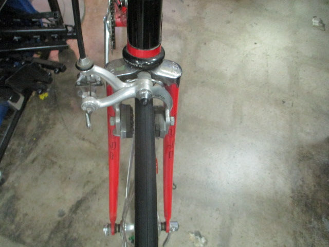 Load image into Gallery viewer, Vintage Fuji Team Fuji 22&quot; 12 Speed Road Bike
