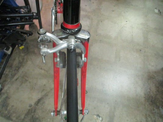 Vintage Fuji Team Fuji 22" 12 Speed Road Bike