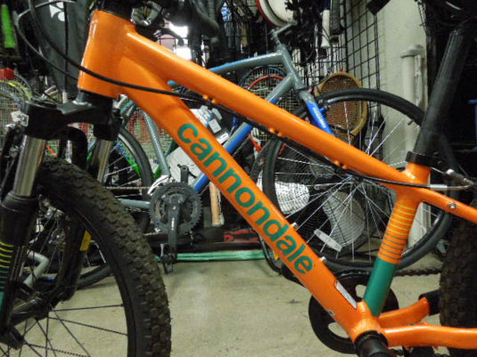 Used Cannondale Kids Trail 20 in Orange