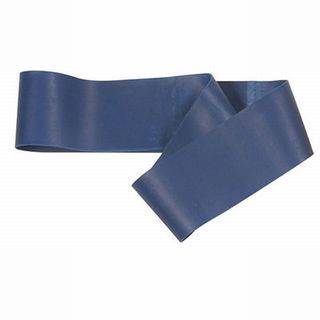NEW Champion Fit Loops Blue Heavy (20 LBS)