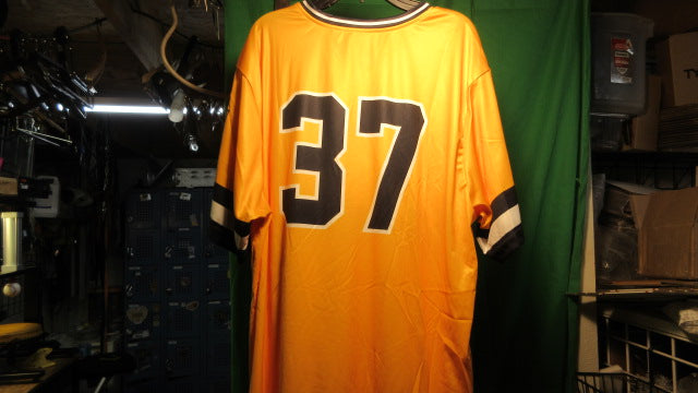 Load image into Gallery viewer, Used Champro Swarm Baseball Jersey - Adult XL
