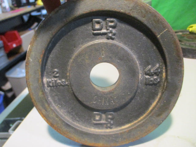 Load image into Gallery viewer, Used DP Standard 4.4LB Weight Plate
