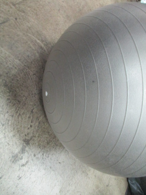 Load image into Gallery viewer, Used Jillian Michaels 55Cm Exercise Ball
