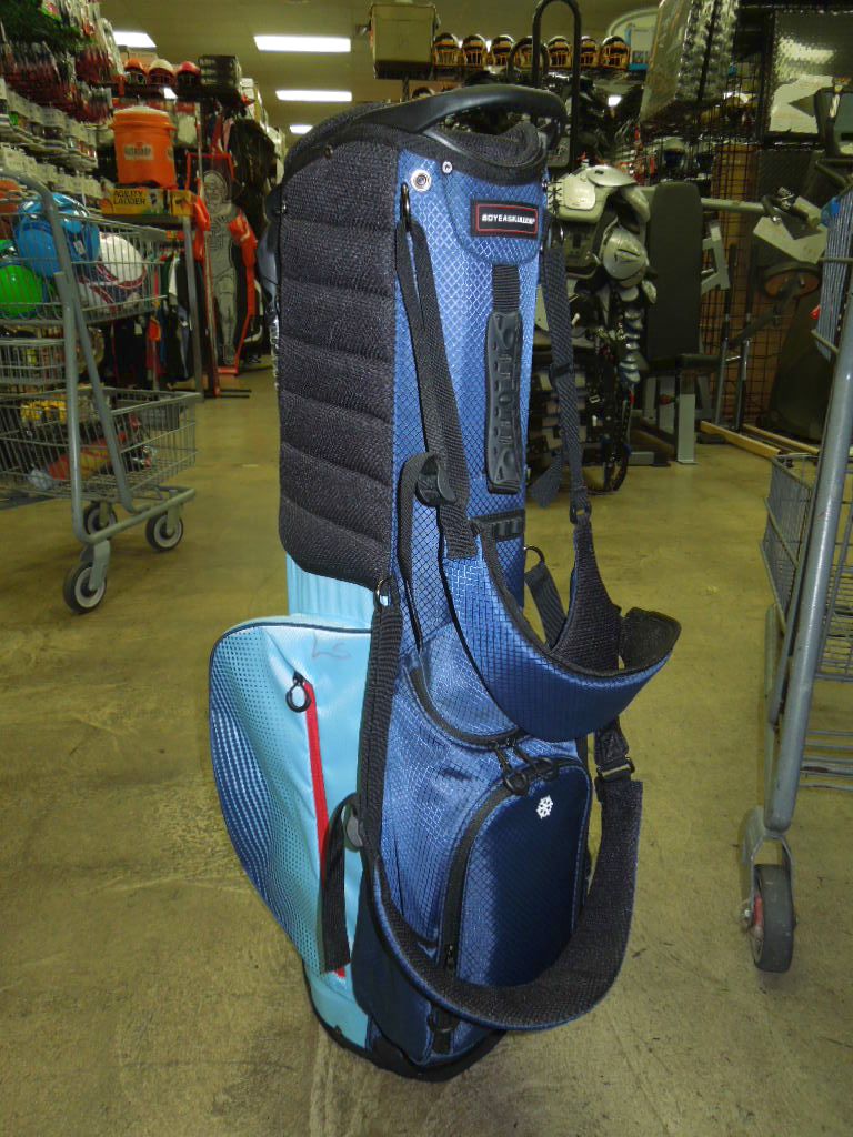 Load image into Gallery viewer, Like New Boyeaskulleap Light Weight Gold Stand Bag
