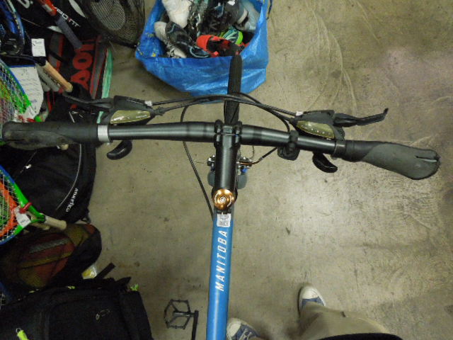 Load image into Gallery viewer, Used Nishiki Manitoba Road Bike 700c Size XL 21" Frame
