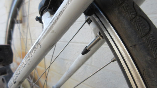 Load image into Gallery viewer, Used Fiji Hybrid 3.0 Absolute Adult 20&quot; Frame Bicycle - Gears Needs to be Tuned
