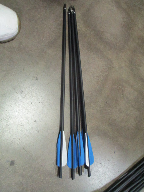 Load image into Gallery viewer, Used 20" Archery Arrows - 7 Piece
