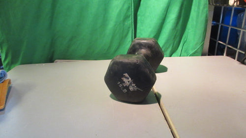 Used 15 lb Perform Better Vinyl Dumbbell