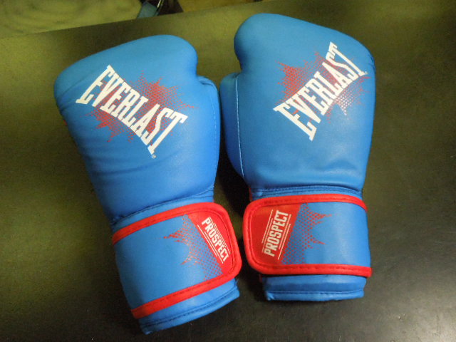Load image into Gallery viewer, Used Everlast Prospect 8oz Boxing Gloves
