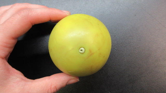 Load image into Gallery viewer, Used Powernet 2.8&quot; 12oz Weighted Training Ball
