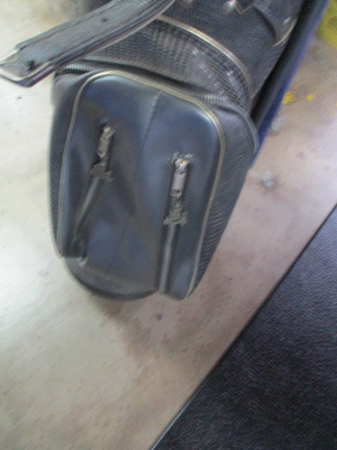 Load image into Gallery viewer, Vintage Hot Z Golf Bag
