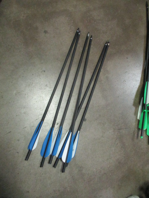 Load image into Gallery viewer, Used 20" Archery Arrows - 7 Piece
