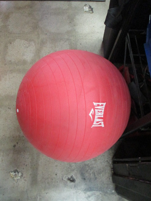 Used Everlast 55CM Exercise Ball