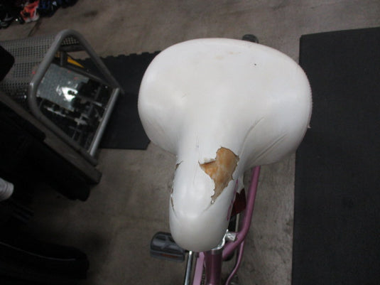Used Evo Bonsai 24" Cruiser Bike (Seat Has Wear)
