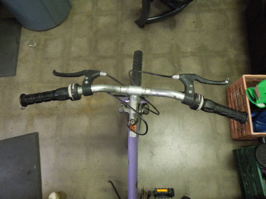 Used Dynacraft Magna Great Divide 21 Sp Mountain Bike in Purple