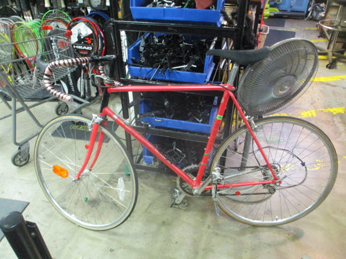 Vintage Fuji Team Fuji 22