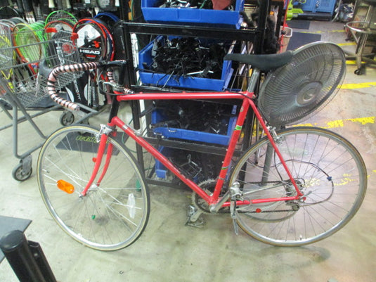 Vintage Fuji Team Fuji 22