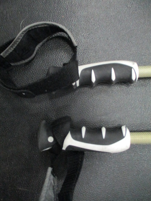 Load image into Gallery viewer, Used Scott Series C Composite 49&quot; Downhill Ski Poles
