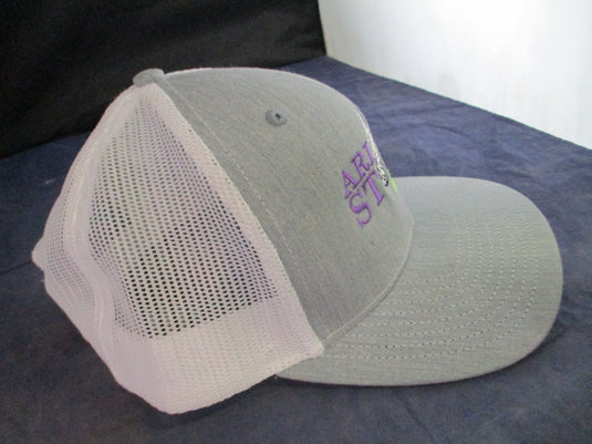 Used Arizona Storm Elite Mesh Baseball Hat