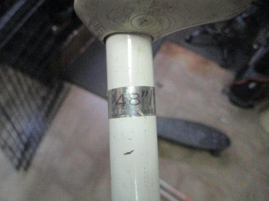 Used White 48" Downhill Ski Poles