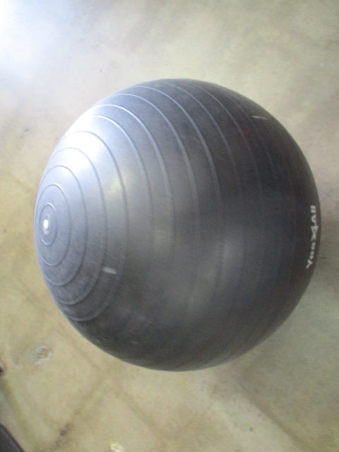 Used Yes4All Black Exercise Ball