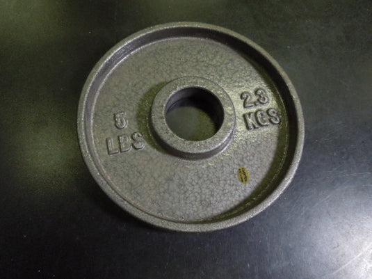 Used 5 lb Cast Iron Olympic Plate