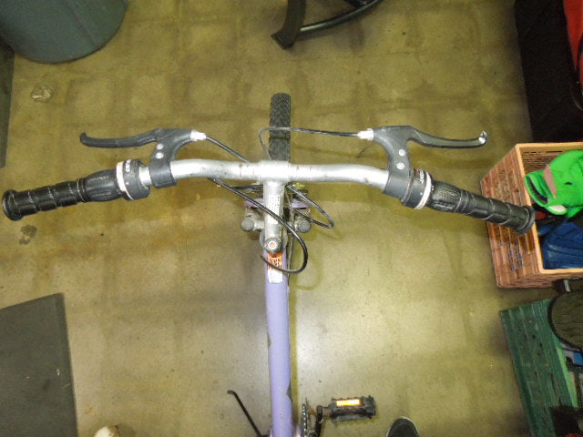 Load image into Gallery viewer, Used Dynacraft Magna Great Divide 21 Sp Mountain Bike in Purple
