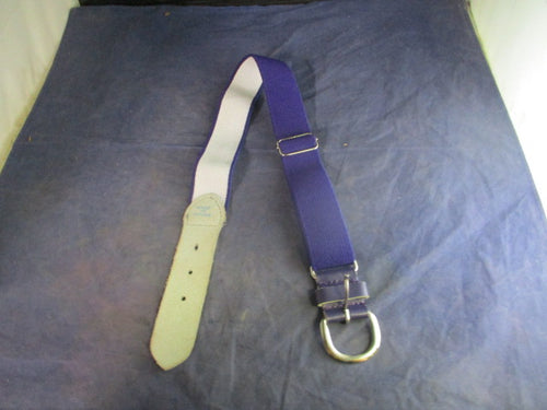 Used Champro Purple Belt - Adult