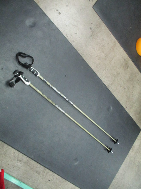 Load image into Gallery viewer, Used Scott Series C Composite 49&quot; Downhill Ski Poles
