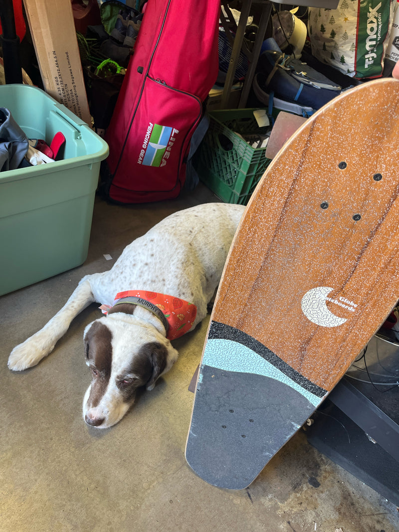 Load image into Gallery viewer, Used Globe Big Blazer 32in Teak Skate board

