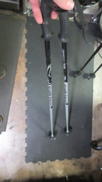 Load image into Gallery viewer, Used Christy Sports 42&quot; Downhill Ski Poles
