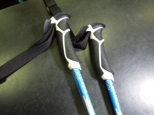 Load image into Gallery viewer, Used Swix Carbon + WTC9-1 All Mnt. 120cm Ski Poles
