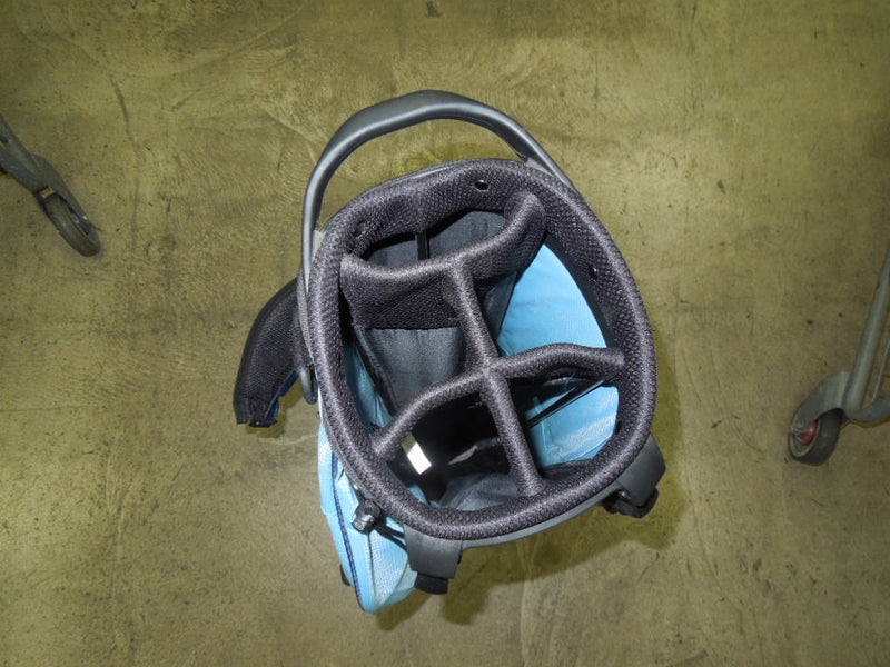 Load image into Gallery viewer, Like New Boyeaskulleap Light Weight Gold Stand Bag
