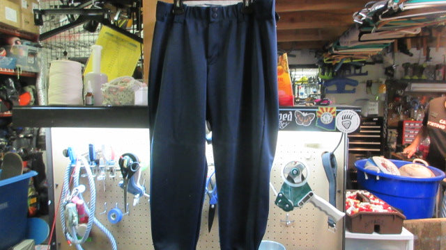 Load image into Gallery viewer, Used Intensity Softball Pants - Size Large
