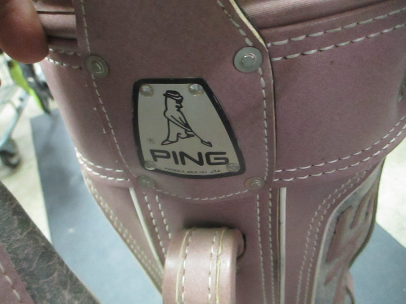 Load image into Gallery viewer, Used Ping Golf Cart Bag W/ Strap
