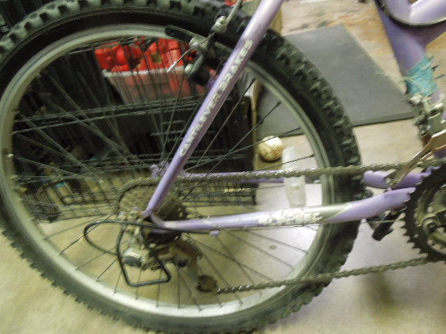 Load image into Gallery viewer, Used Dynacraft Magna Great Divide 21 Sp Mountain Bike in Purple
