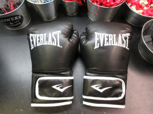 Used Everlast Classic Boxing Gloves - Size XL