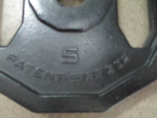 Used Group Strength Rubber Hex 5LB Standard Weight Plate