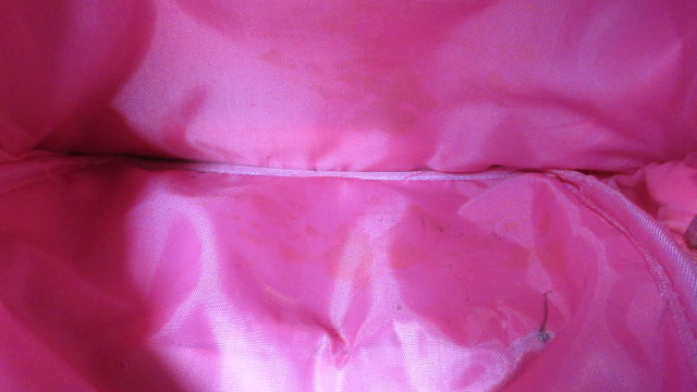 Load image into Gallery viewer, Used Coofit Pink Backpack - stain inside bag
