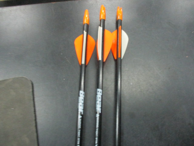 Load image into Gallery viewer, Used Bear Youth Arrows - Set of 3
